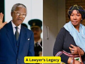 A Lawyer's Legacy: Tales of Impact and Influence