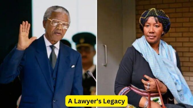 A Lawyer's Legacy: Tales of Impact and Influence