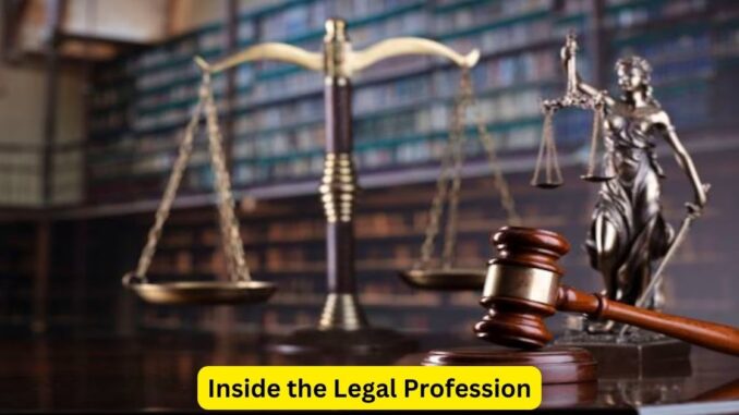 Inside the Legal Profession: Stories from the Field