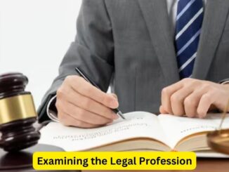 Lawyers on Trial: Examining the Legal Profession
