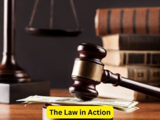 The Law in Action: Tales from Legal Practice