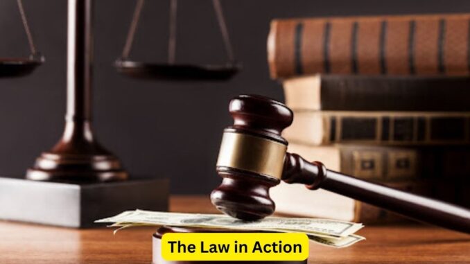 The Law in Action: Tales from Legal Practice