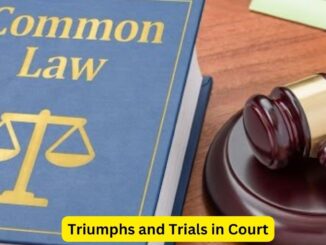 The Legal Warrior: Triumphs and Trials in Court