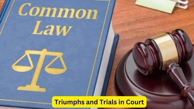 The Legal Warrior: Triumphs and Trials in Court